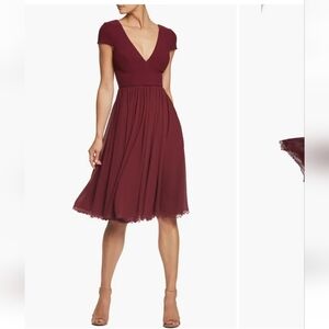 Dress the Population Corey Chiffon Fit & Flare Cocktail Dress Burgundy XS